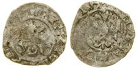 denar  (lata 30–40. XIV w.), Aw: Głowa króla w k