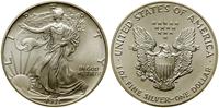 1 dolar 1993, Filadelfia, typ Walking Liberty, s