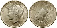 1 dolar 1925, Fliadelfia, typ Peace, srebro prób
