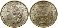 Stany Zjednoczone Ameryki (USA), 1 dolar, 1891