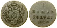 1 grosz polski 1820 IB, Warszawa, Bitkin 890, Pl
