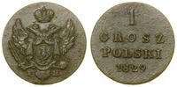 1 grosz polski 1829 FH, Warszawa, nieco rzadszy 