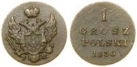 1 grosz polski 1830 FH, Warszawa, Bitkin 1059, P