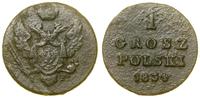 1 grosz polski 1834 IP, Warszawa, resztki lakier