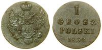 1 grosz polski 1832 KG, Warszawa, zielonkawa pat