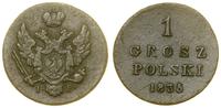 1 grosz polski 1835 IP, Warszawa, Bitkin 1073, P