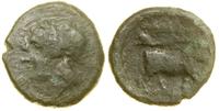 Grecja i posthellenistyczne, brąz, ok. 265–240 pne