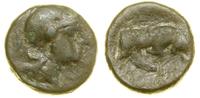 Grecja i posthellenistyczne, brąz, ok. 350–325 pne