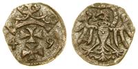 denar 1549, Gdańsk, krązek wycięty nierówno, rdz