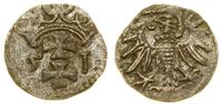 denar 1551, Gdańsk, rzadszy rocznik, CNG 81.III,