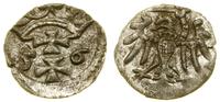 denar 1556, Gdańsk, lekko pęknięty krążek, CNG 8