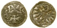 denar 1555, Elbląg, patyna, krążek minimalnie po