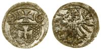 denar 1557, Elbląg, patyna, bardzo ładne, CNCE 2