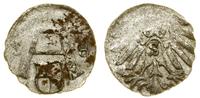 denar 1558, Królewiec, miejscowy, rdzawy nalot, 