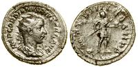 antoninian 241–243, Rzym, Aw: Popiersie władcy w