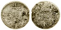 trzeciak (ternar) 1596, Malbork, rzadki typ mone
