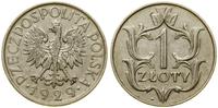 1 złoty 1929, Warszawa, nikiel, patyna, Parchimo