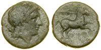 brąz 225–210 pne, Aw: Głowa Apollo w prawo, z le