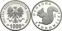 1.000 złotych 1985, WIEWIÓRKA- PRÓBA, srebro, Pa