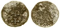 denar 1551, Gdańsk, miejscowa patyna, rzadki roc