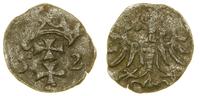 denar 1552, Gdańsk, bardzo rzadki rocznik, CNG 8