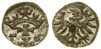 denar 1556, Gdańsk, ładnie zachowany, CNG 81.VII