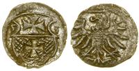 denar 1555, Elbląg, patyna, CNCE 232 (R4), Kop. 