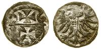 denar 1557, Elbląg, CNCE 234 (R3), Kop. 7101 (R3