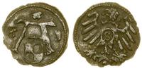 denar 1563, Królewiec, ciemna patyna, Kop. 3756 