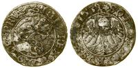 szeląg 1531, Toruń, PRVS w legendzie awersu, pat