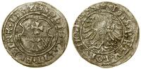 szeląg 1532, Elbląg, w legendzie awersu PRVSSI, 