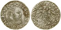 grosz 1544, Królewiec, długa broda księcia (rzad
