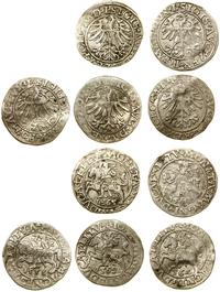 Polska, zestaw 5 x półgrosz, 1556, 1560, 1564, 2 x 1565