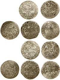 Polska, zestaw 5 x półgrosz, 1556, 1559, 1560, 1564, 1565