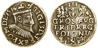 trojak 1595, Wschowa, korona z lilią bez obwódki