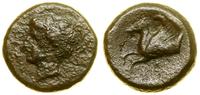 brąz ok. 343–334 pne, Aw: Głowa Afrodyty w lewo,
