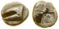 drachma ok. 490–425 pne, Aw: Głowa orła w lewo, 