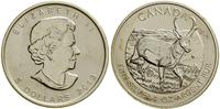 5 dolarów 2013, Ottawa, Bizon, srebro próby 999 