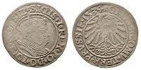 grosz pruski 1534, Toruń, Aw: Popiersie króla i 