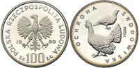 100 złotych 1980, GŁUSZCE- PRÓBA, srebro, Parchi