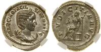 antoninian 244–245, Rzym, Aw: Popiersie cesarzow
