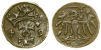 denar 1549, Gdańsk, rzadki rocznik, CNG 81, Kop.