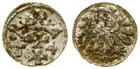 denar 1554, Gdańsk, miejscowa patyna, bardzo ład