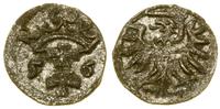 denar 1556, Gdańsk, CNG 81.VIII, Kop. 7352 (R3),