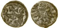 denar 1556, Elbląg, CNCE 233, Kop. 7100 (R3), Pf