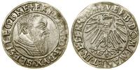 grosz 1544, Legnica, moneta z blaskiem menniczym