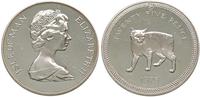 25 pensów 1975, Kot z wyspy Man, srebro 28.60 g,