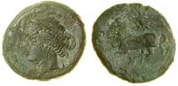 Grecja i posthellenistyczne, brąz, ok. 336–330 pne