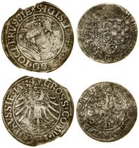 zestaw 2 monet, grosz 1534, Toruń, Zygmunt I Sta