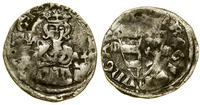 denar (1338–1342), Aw: Półpostać władcy na wpros
